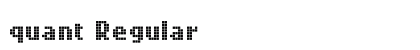 quant Regular Preview