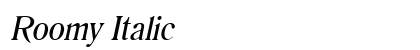 Roomy Italic preview