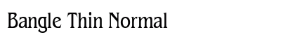 Bangle Thin Normal preview