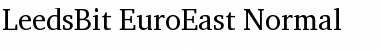 Download LeedsBit EuroEast Font