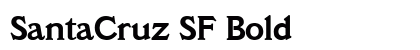 SantaCruz SF Bold preview