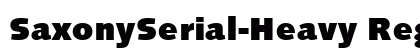 SaxonySerial-Heavy Regular preview