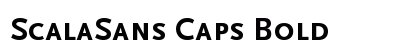 ScalaSans Caps Bold Preview