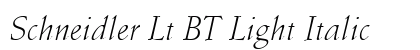 Schneidler Lt BT Light Italic Preview