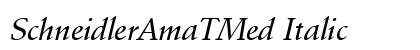 SchneidlerAmaTMed Italic preview