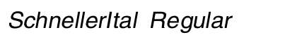 SchnellerItal Regular preview
