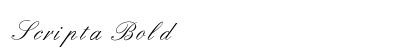 Scripta Bold preview