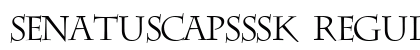 SenatusCapsSSK Regular preview