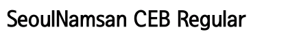 SeoulNamsan CEB Regular preview
