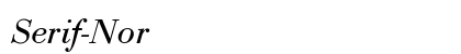 Serif-Normal-Italic Regular preview