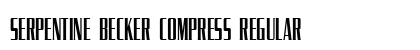 Serpentine Becker Compress Regular preview
