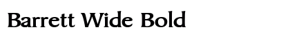 Barrett Wide Bold preview