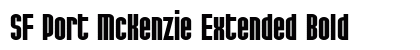 SF Port McKenzie Extended Bold preview