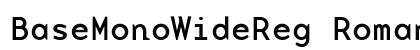 BaseMonoWideReg Roman preview