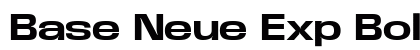 Base Neue Exp Bold preview