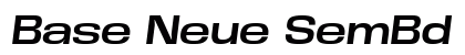 Base Neue SemBd Exp Obl Italic preview