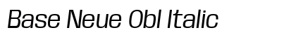 Base Neue Obl Italic preview