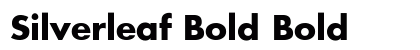 Silverleaf Bold Bold preview