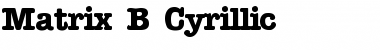 Matrix B_ Cyrillic Regular Font