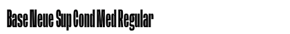 Base Neue Sup Cond Med Regular preview