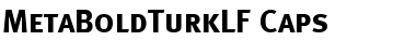 Download MetaBoldTurkLF Font