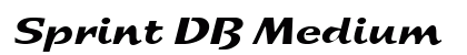 Sprint DB Medium preview