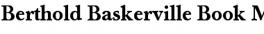 Berthold Baskerville Book Bold Font