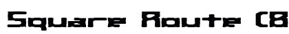 Square Route (BRK) Regular preview