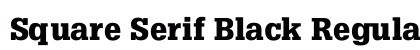 Square Serif Black Regular preview
