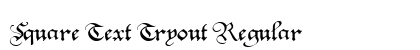 Square Text Tryout Regular preview