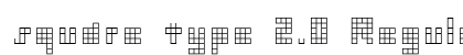 square type 2.0 Regular preview