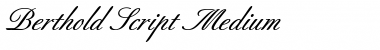 Berthold Script ItalicBold Font