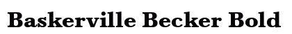 Baskerville Becker Bold preview