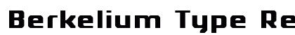Berkelium Type Regular preview