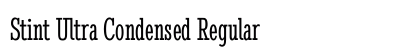 Stint Ultra Condensed Regular preview