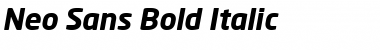Neo Sans Bold Italic Font