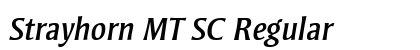 Strayhorn MT SC Regular preview