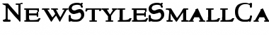 Download NewStyleSmallCaps Font Download NewStyleSmallCaps Font