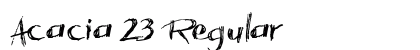 Acacia 23 Regular preview