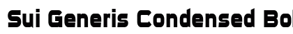 Sui Generis Condensed Bold preview