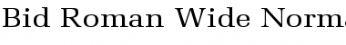 Download Bid Roman Wide Font