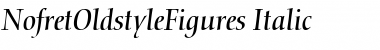 NofretOldstyleFigures RomanItalic Font