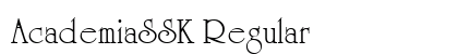 AcademiaSSK Regular preview
