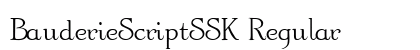 BauderieScriptSSK Regular Preview