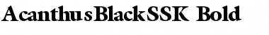 AcanthusBlackSSK Bold Font