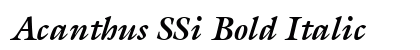 Acanthus SSi Bold Italic Preview