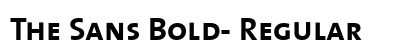 The Sans Bold- Regular Preview