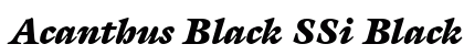 Acanthus Black SSi Black Italic preview