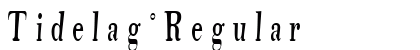 Tidelag Regular preview