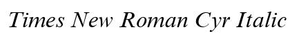 Times New Roman Cyr Italic Preview